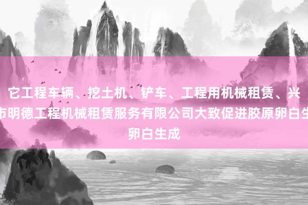 它工程车辆、挖土机、铲车、工程用机械租赁、兴义市明德工程机械租赁服务有限公司大致促进胶原卵白生成