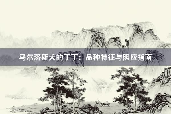 马尔济斯犬的丁丁：品种特征与照应指南